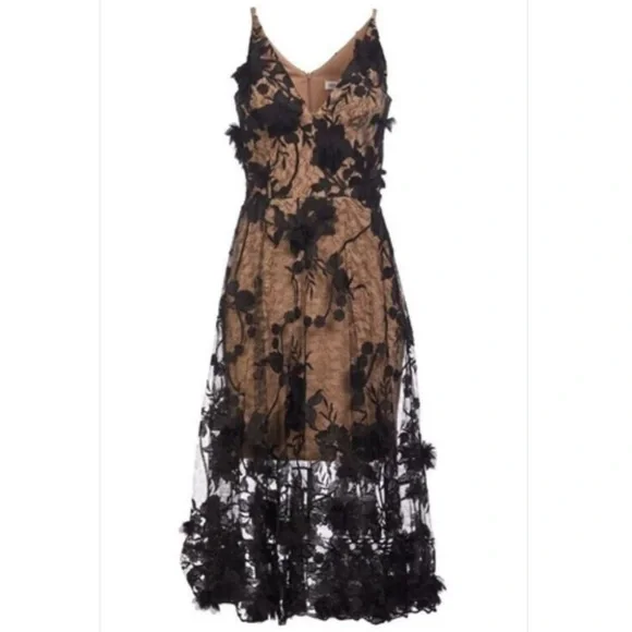 Dress the Population Audrey‎ Sheer Floral Overlay A-Line Sleeveless V-Neck XS